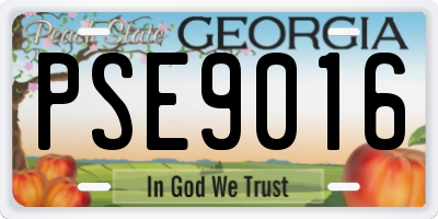 GA license plate PSE9016