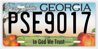 GA license plate PSE9017