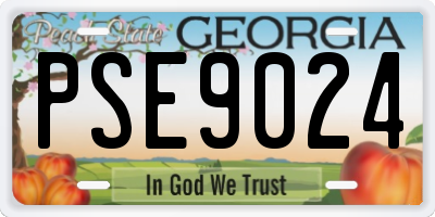 GA license plate PSE9024