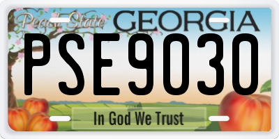 GA license plate PSE9030