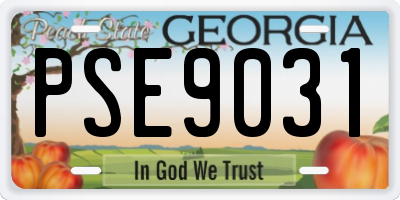 GA license plate PSE9031