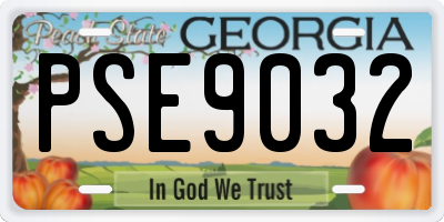 GA license plate PSE9032