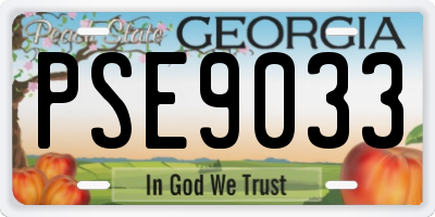 GA license plate PSE9033