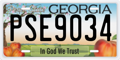GA license plate PSE9034