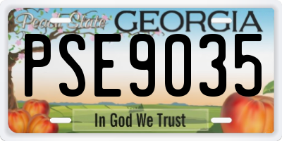 GA license plate PSE9035