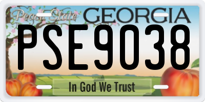 GA license plate PSE9038