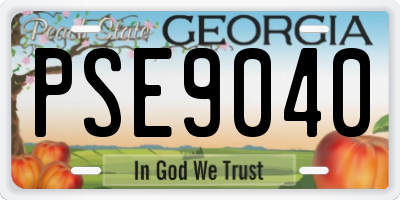 GA license plate PSE9040
