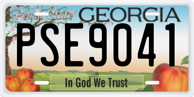 GA license plate PSE9041
