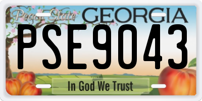 GA license plate PSE9043