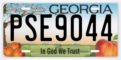 GA license plate PSE9044