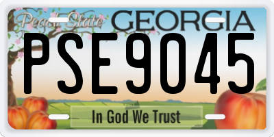 GA license plate PSE9045