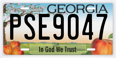 GA license plate PSE9047
