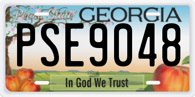 GA license plate PSE9048