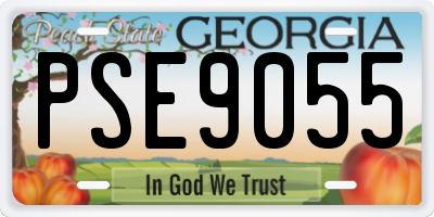 GA license plate PSE9055