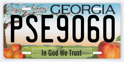 GA license plate PSE9060