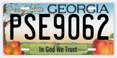 GA license plate PSE9062