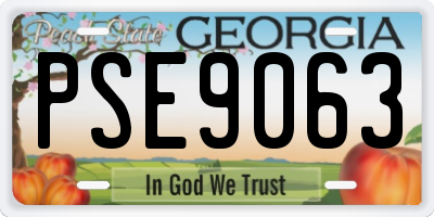 GA license plate PSE9063