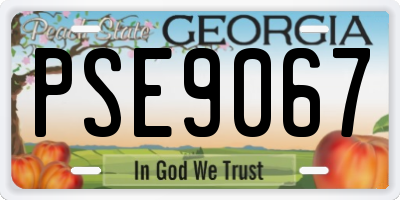 GA license plate PSE9067
