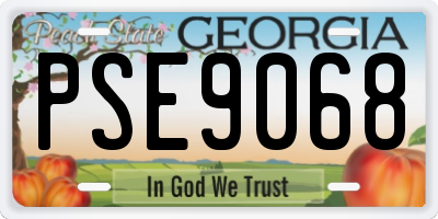 GA license plate PSE9068