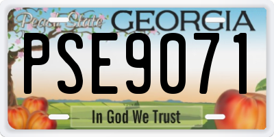GA license plate PSE9071