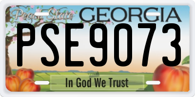 GA license plate PSE9073