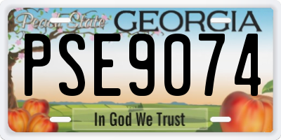 GA license plate PSE9074