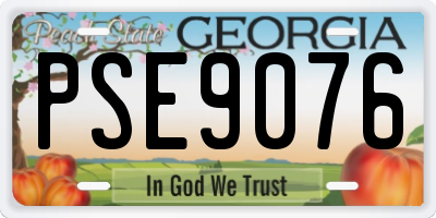 GA license plate PSE9076