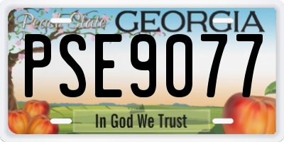 GA license plate PSE9077