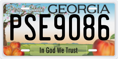 GA license plate PSE9086