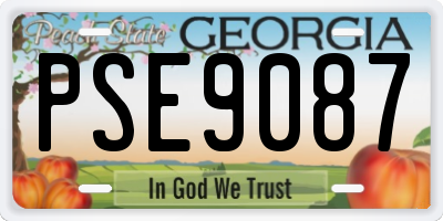 GA license plate PSE9087