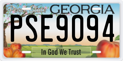 GA license plate PSE9094