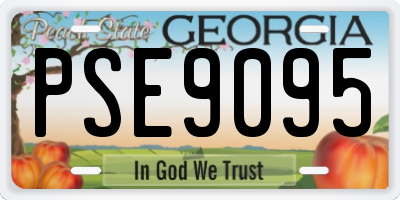GA license plate PSE9095