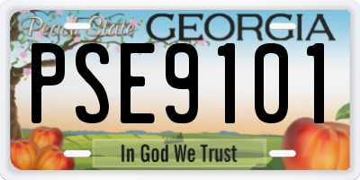 GA license plate PSE9101