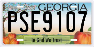 GA license plate PSE9107