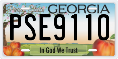 GA license plate PSE9110