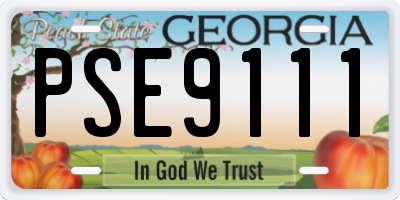 GA license plate PSE9111