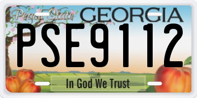 GA license plate PSE9112