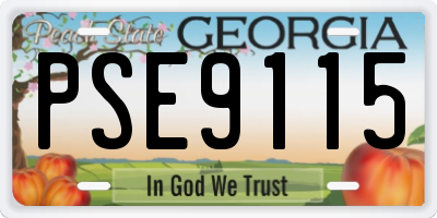 GA license plate PSE9115