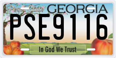 GA license plate PSE9116