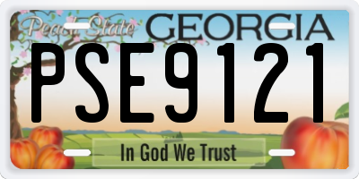 GA license plate PSE9121