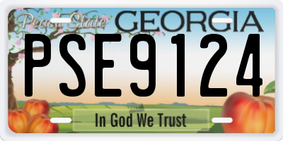 GA license plate PSE9124