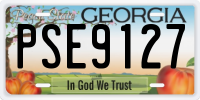 GA license plate PSE9127