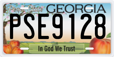 GA license plate PSE9128