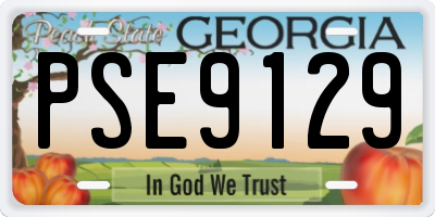 GA license plate PSE9129