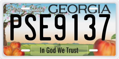 GA license plate PSE9137