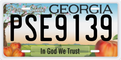 GA license plate PSE9139