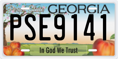 GA license plate PSE9141