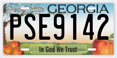 GA license plate PSE9142
