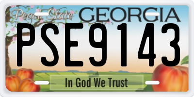 GA license plate PSE9143