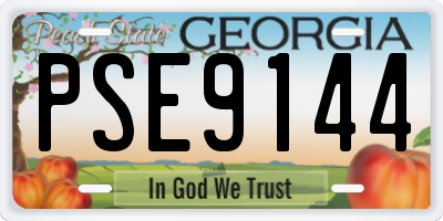 GA license plate PSE9144